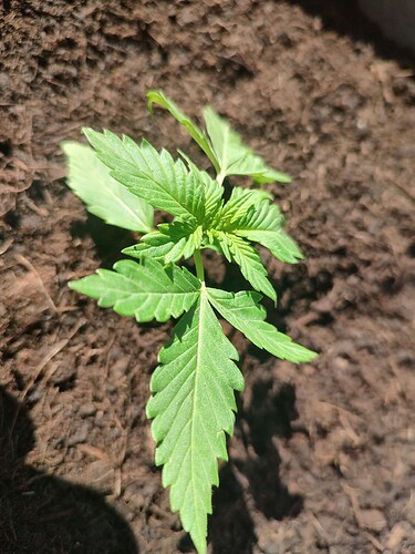 Growreport Bild 4