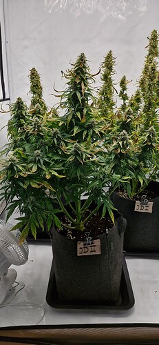 Growreport Bild 7