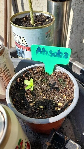 Growreport Bild 8