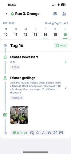 Growreport Bild 8