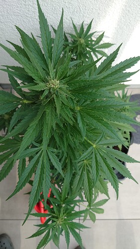 Growreport Bild 11