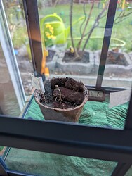 PXL_20250401_053001531