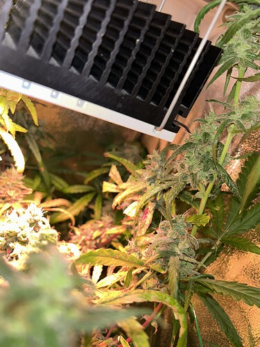 Growreport Bild 11