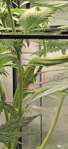 Growreport Bild 11