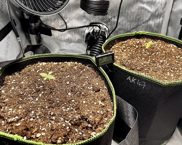 Growreport Bild 2