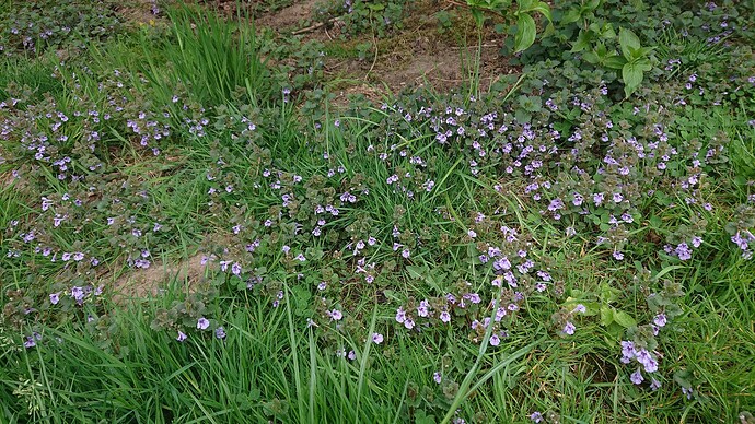 Growreport Bild 9