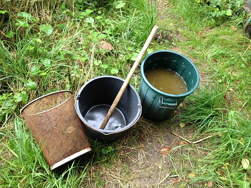 Growreport Bild 20