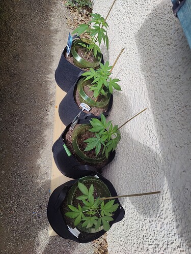 Growreport Bild 9