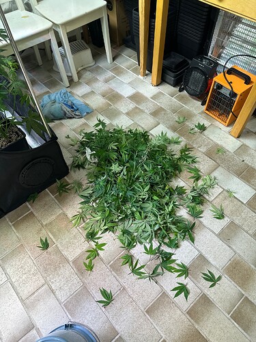 Growreport Bild 46