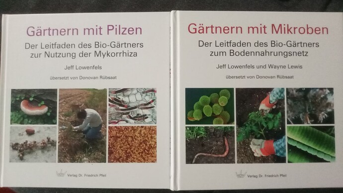 IMG_20240907_002010_356