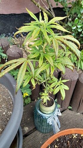 Growreport Bild 6