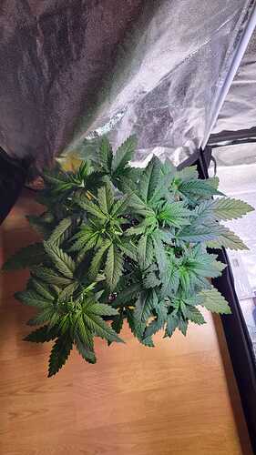 Growreport Bild 24