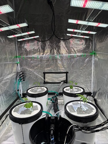 Growreport Bild 9