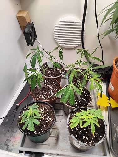 WhatsApp Image 2024-05-13 at 16.23.30