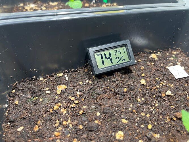 Foto 29.11.24, 17 01 59