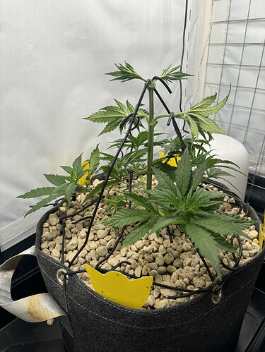 20240503_051344662_iOS