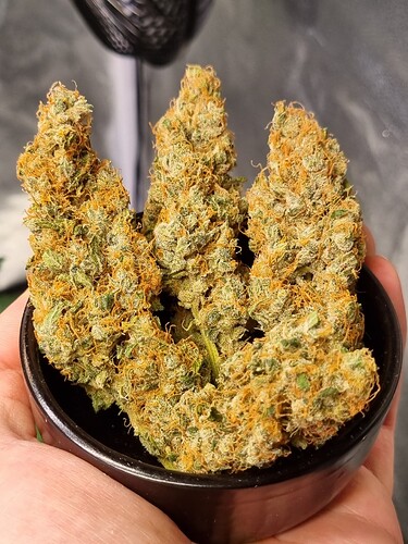 Growreport Bild 11