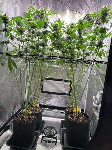 Growreport Bild 1