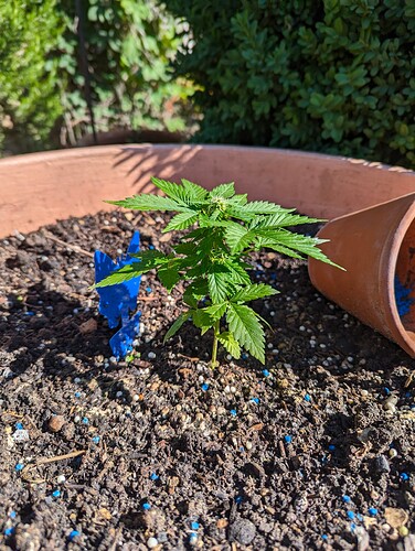 PXL_20240528_072937847