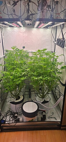 Growreport Bild 12