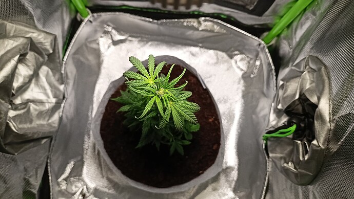 Growreport Bild 10