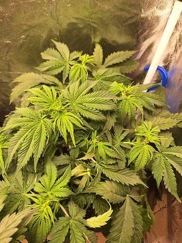 Growreport Bild 6