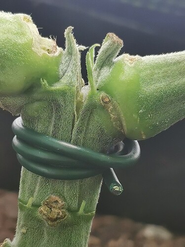 Growreport Bild 23