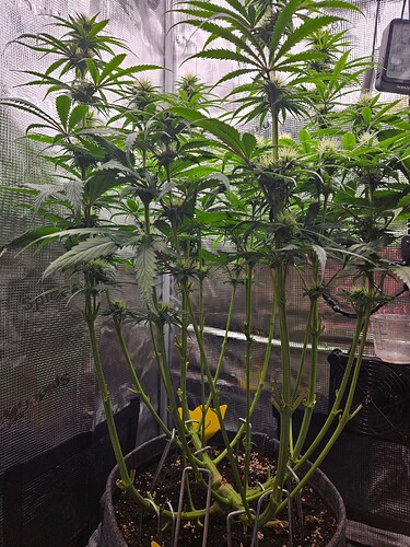 Growreport Bild 21