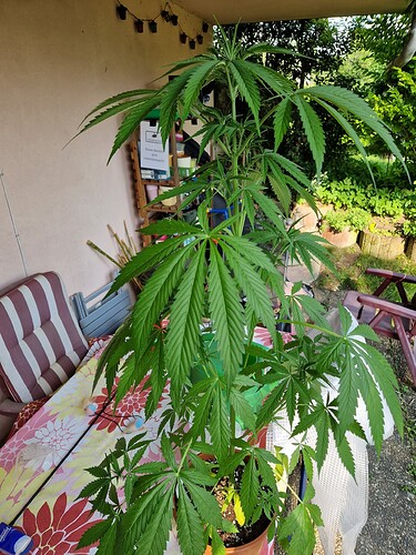 Growreport Bild 20