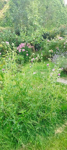 Growreport Bild 16