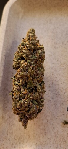 Growreport Bild 37