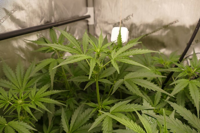 Growreport Bild 18
