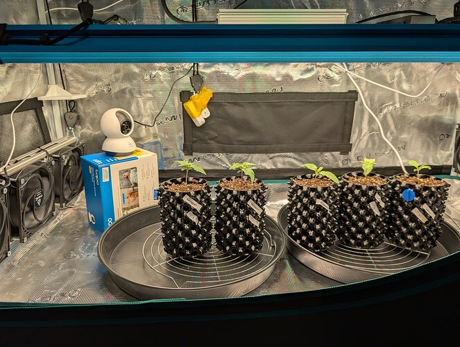 Growreport Bild 6