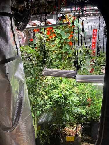 Growreport Bild 15