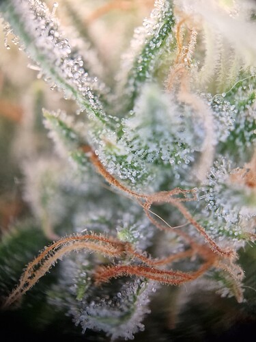 Growreport Bild 14