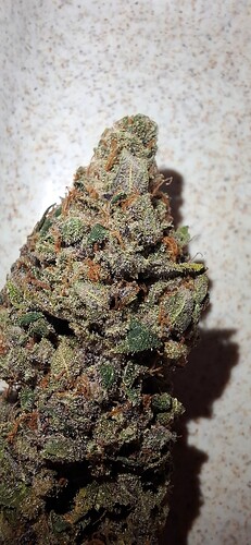 Growreport Bild 38