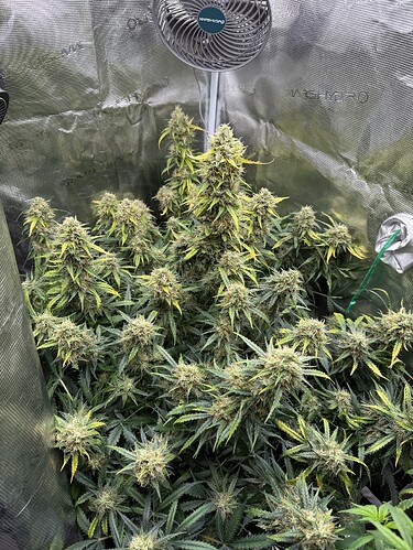 Growreport Bild 12