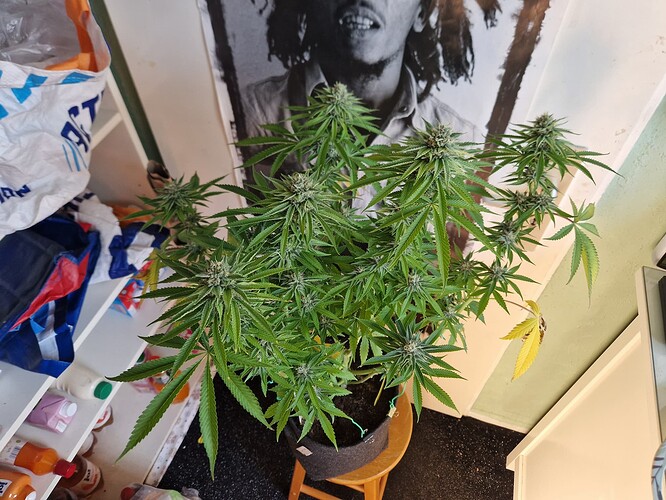 Growreport Bild 9