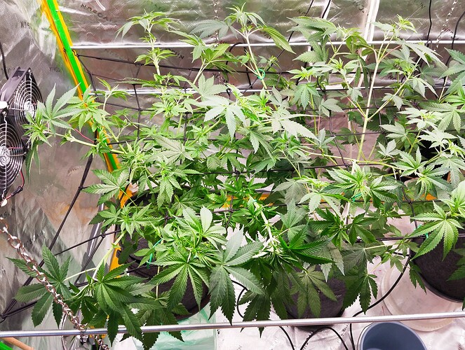 Growreport Bild 12