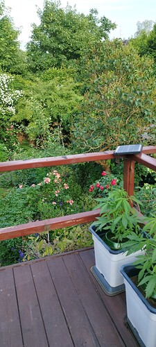 Growreport Bild 26