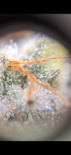 Growreport Bild 21