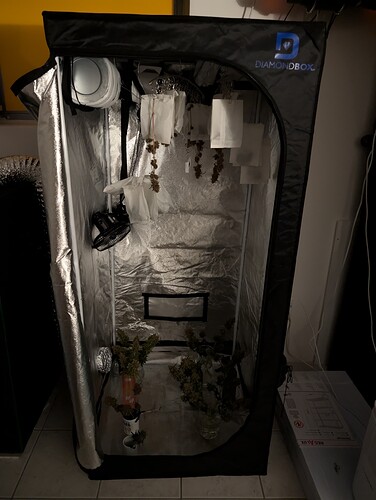 Growreport Bild 12