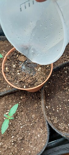 Growreport Bild 9