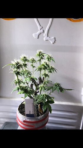 Growreport Bild 26