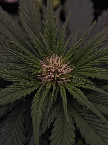 Growreport Bild 23