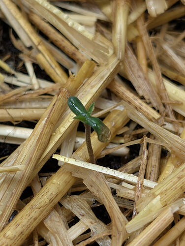 Growreport Bild 4