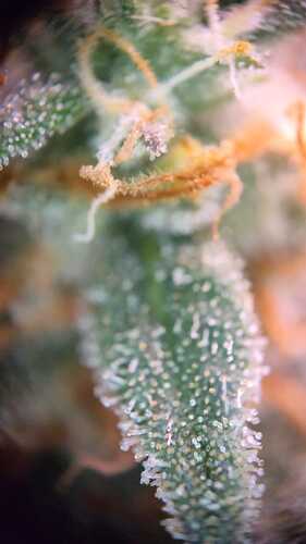 WhatsApp Bild 2024-06-12 um 17.13.45_741048c3