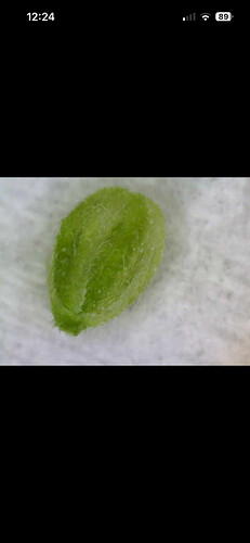 Growreport Bild 19
