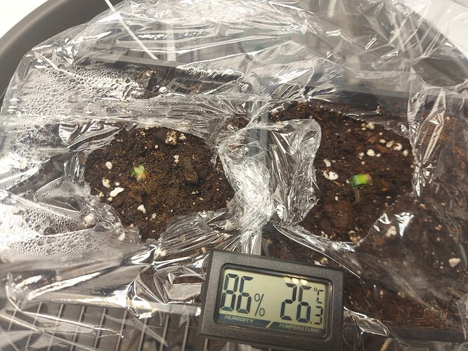 Growreport Bild 1