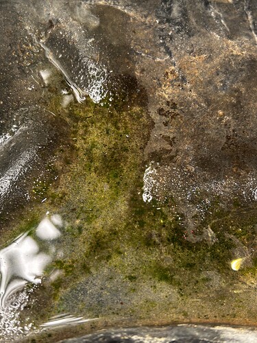 Growreport Bild 25